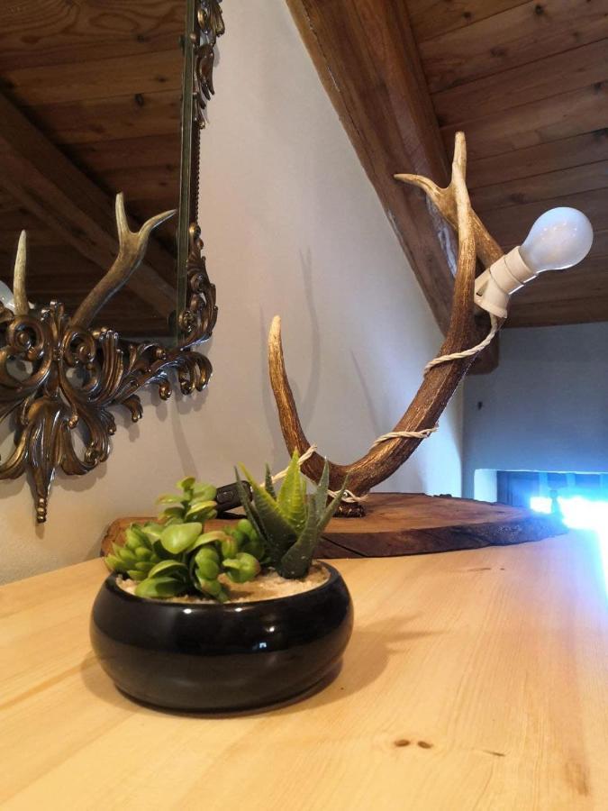 Appartamento La Torre Vinadio Zewnętrze zdjęcie